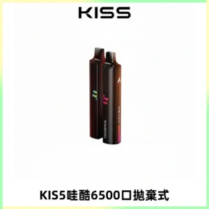 KIS5WAGOO哇酷6500口拋棄式 | 自由混搭雙口味 | 雙芯組合